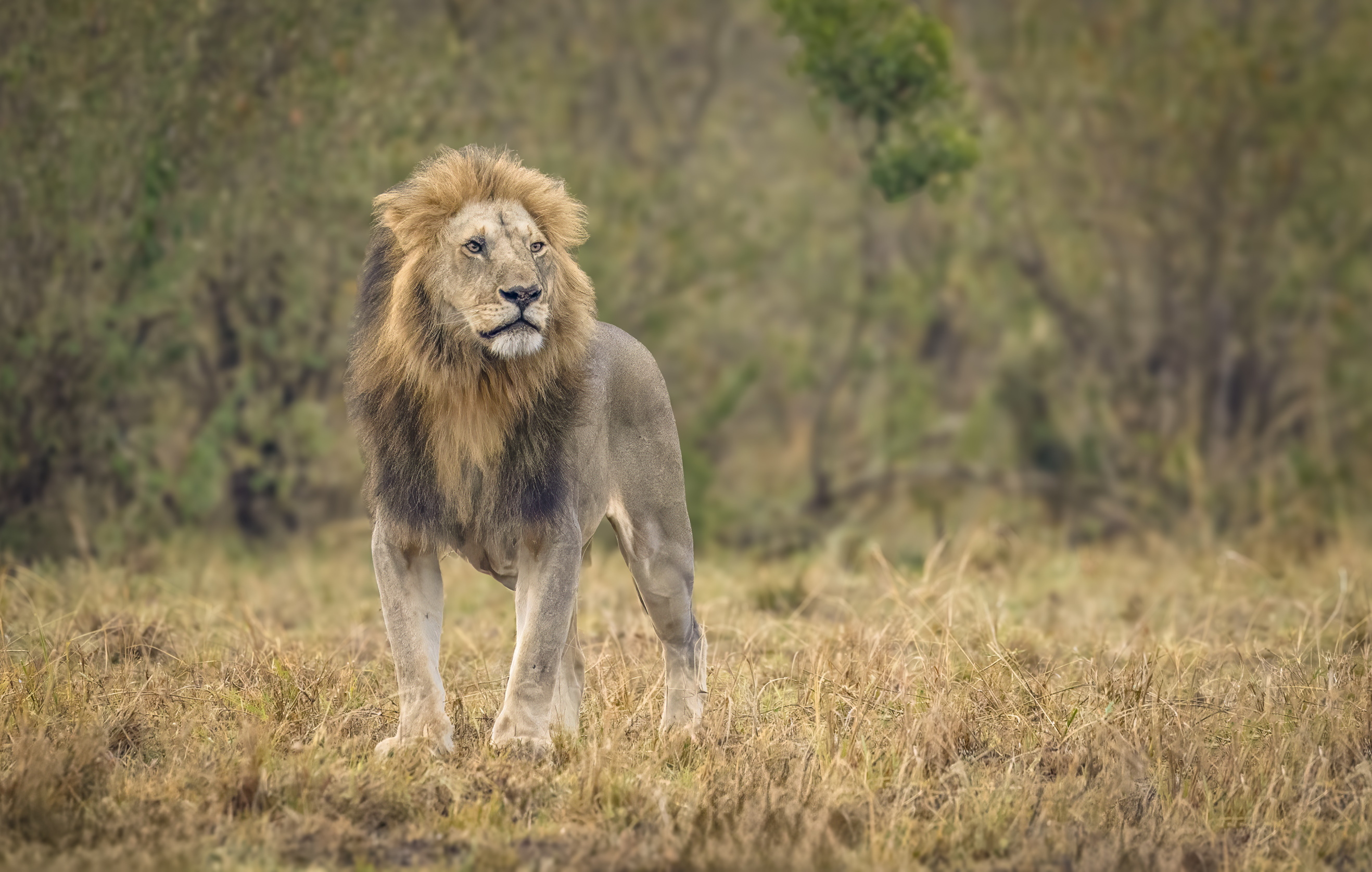 November 13, 2022-063401-4-Edit-Edit.jpg